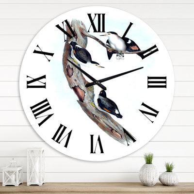 Vintage Australian Bird Illustrations I - Traditional wall clock