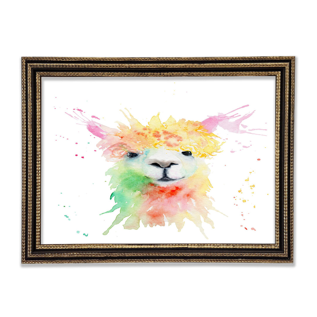 Splatter Colour Alpaca Gerahmter Druck