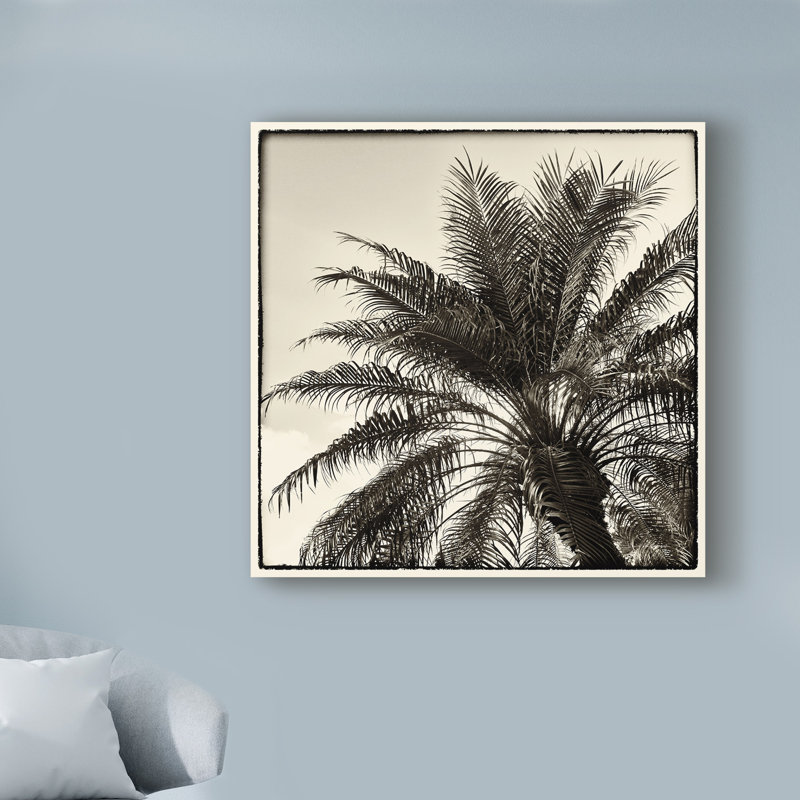 « palm tree sépia i », reproduction de photo sur toile tendue, H 18 po x l 18 po x P 2 po