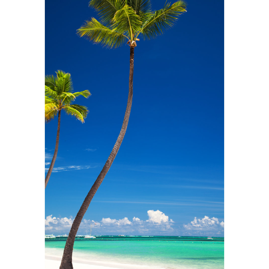 Bavaro Beach von Danilovi - Kunstdrucke auf Leinwand ohne Rahmen