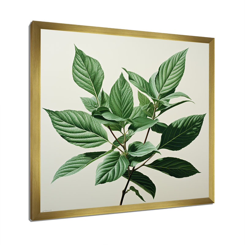 Menthe fraîche, feuilles de minimalisme sérénité II, Cadre doré simple, H 30 po x l 30 po x P 1 po