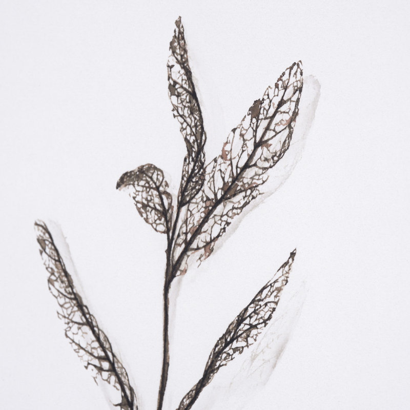 Olive Branch par Gabrielle, reproduction d'art encadrée sous verre, Olive Branch I
