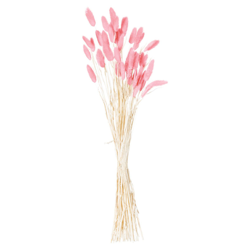 Anastasija Arrangement, Beige, 60 cm H x 2 cm W x 2 cm D, Pink