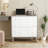 2-Drawer File Cabinet,Ample Storage Cabinet-251363525