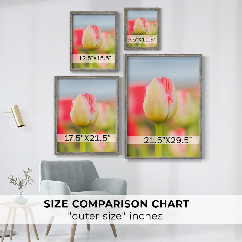 «Twotone Tulip», reproduction encadrée - bois massif, H 11 po x l 9 po