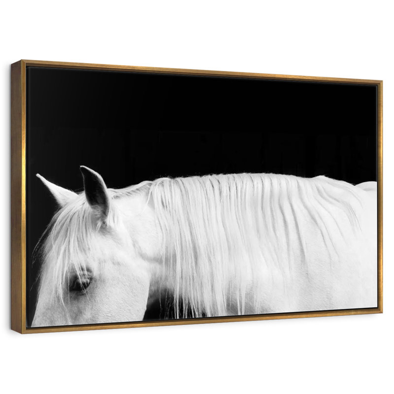 Blanc sur noir I, Cadre flottant doré, 31 po x 21 po