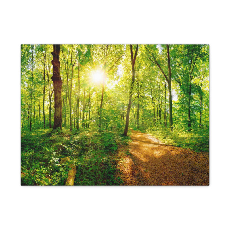 No Frame Print on Canvas, 30.48cm H x 45.72cm W