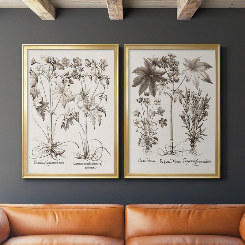 Sépia Besler Botanicals V - ensemble de 2 reproductions d'art sur toile encadrées, H 36,5 po x l 53 po x P 1,25 po, Or