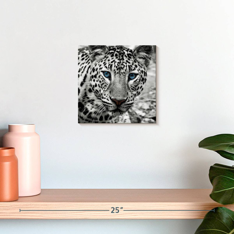 Leopard Brampt, H 10 po x l 10 po