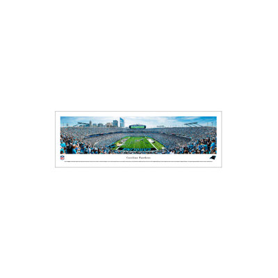 Carolina Panthers - Panoramic Photograph