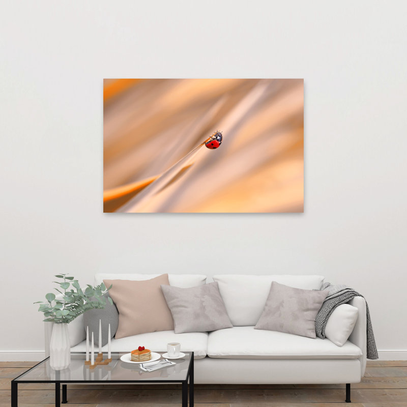 Ladybug In Golden Delicate Vibrant Contemporary Ladybug Nature Spring Wall Art Print by Thierry Dufour - Print