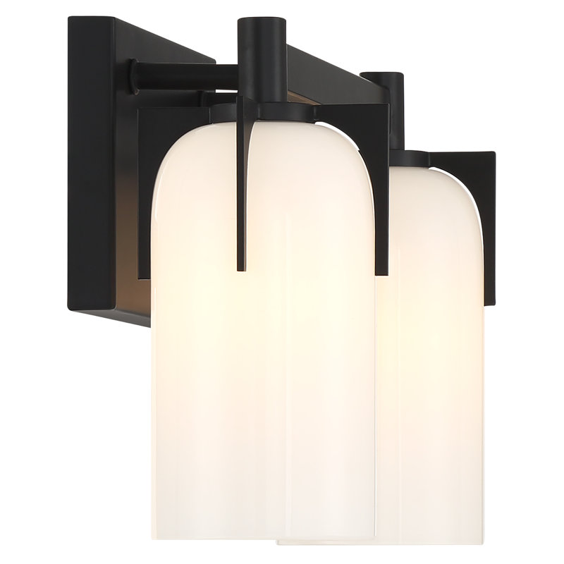 Irela 2-Light Vanity Light in Black, Black, 2 Lights, 8.5" H x 14.75" W x 14.75" D