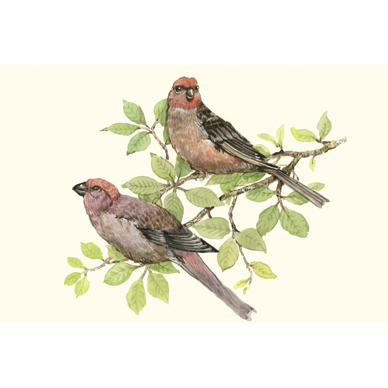 Song Birds II by Timothy O' Toole - Wrapped Canvas Painting, 20cm H x 30cm W