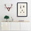 Beetle Illustrations PL.9 by Charles D'Orbigny - Single Picture Frame Print-55544057-55544054