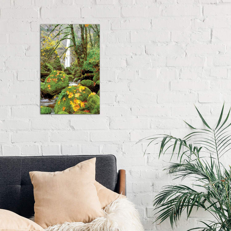 «Elowah Falls», reproduction de photo encadrée, Toile tendue, H 18 po x l 26 po x P 1,5 po
