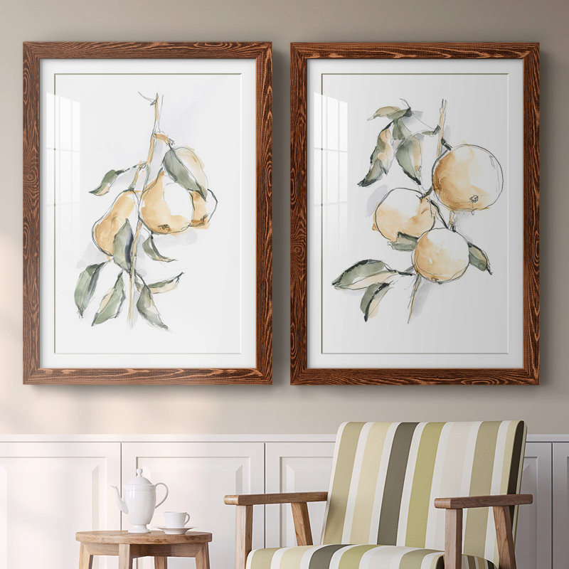 «Watercolor Fruit Contour I», reproduction encadrée de qualité supérieure - prête à être accrochée, Érable