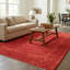 Moroccan Area Rug-1306828774