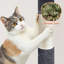 Arbre à chat 76 po Fenwick-1017808395