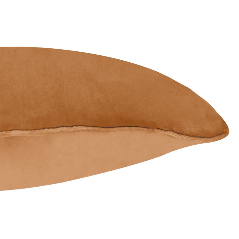 A1HC Set of 2 Soft Velvet Hypoallergenic Throw Pillow Covers with Hidden Zipper, Brown Derby, 24"H x 24"W