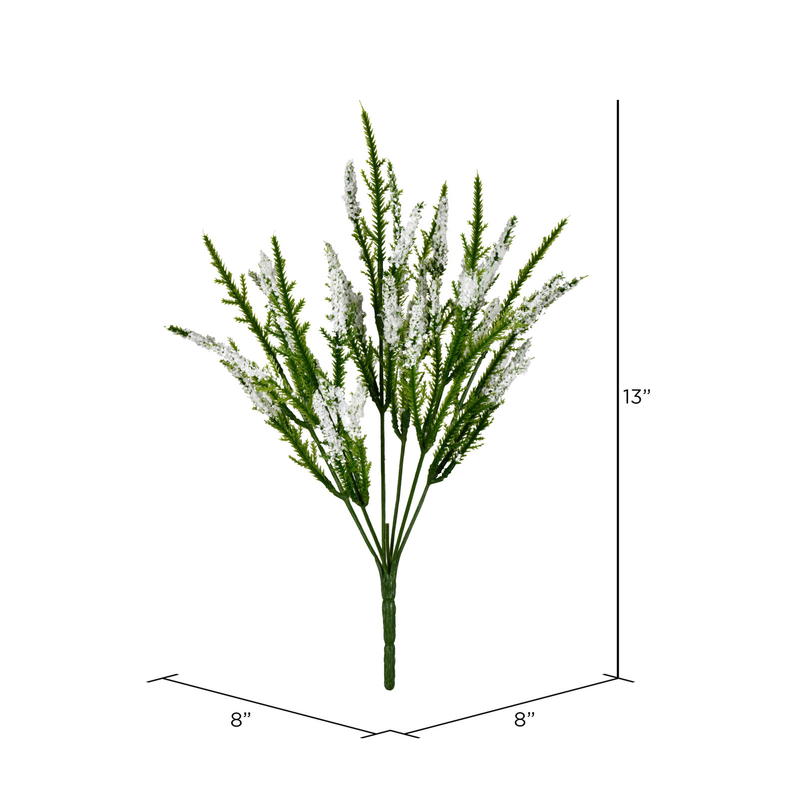 Blazing Star Stems, Cream