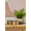 Ajnesh Decorative Box
