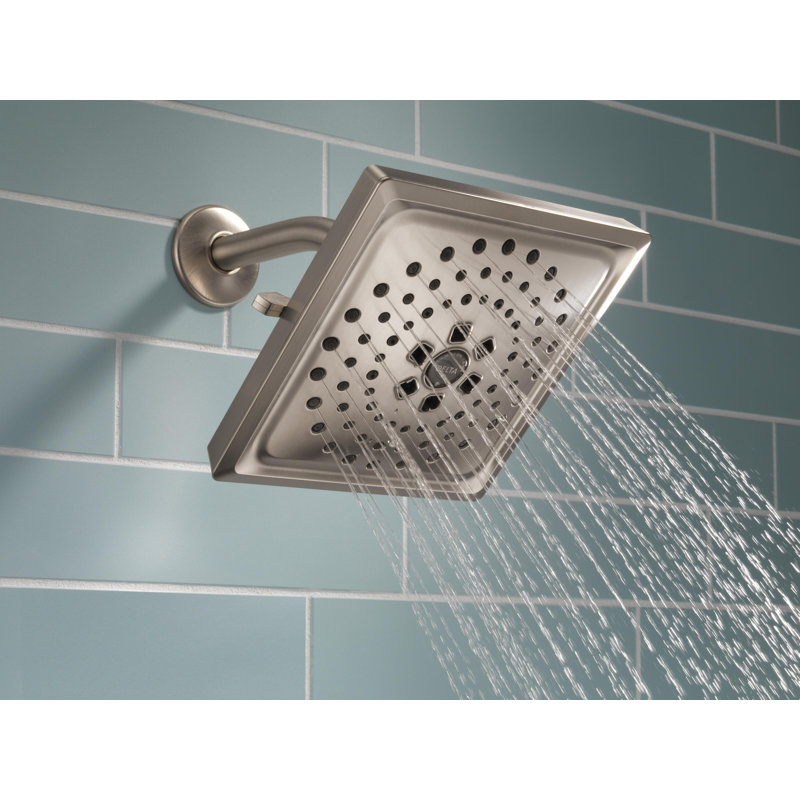 Rain Adjustable Shower Head with H2Okinetic Technology, Lumicoat Stainless