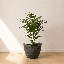 Pot à fleurs rond Vinisha ECOBO EcoFriendly-928914529-929206497