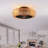 20" Vintage Rope Fan Light With Remote Control 6 Speed Adjustable Airflow Ceiling Fan For Living Room, Bedroom, Kitchen, Indoor, Not Included Bulbs
