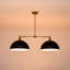 2 - Light Dimmable Dome Kitchen Island Pendant Light