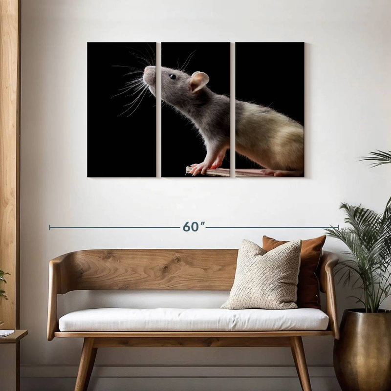 Brampt Rat Close Up, 28" H x 45" W