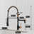 FLG Pull Down Kitchen Faucet