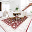 Oriental Area Rug-1856975144