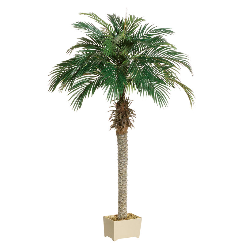 Faux Palm Tree in Pot, 72" H x 36" W x 36" D, Dark Green