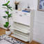 Shoe Cabinet, Storage Shoe Two Drawer, Drawers, Three-Fold Doors, Large-677960537