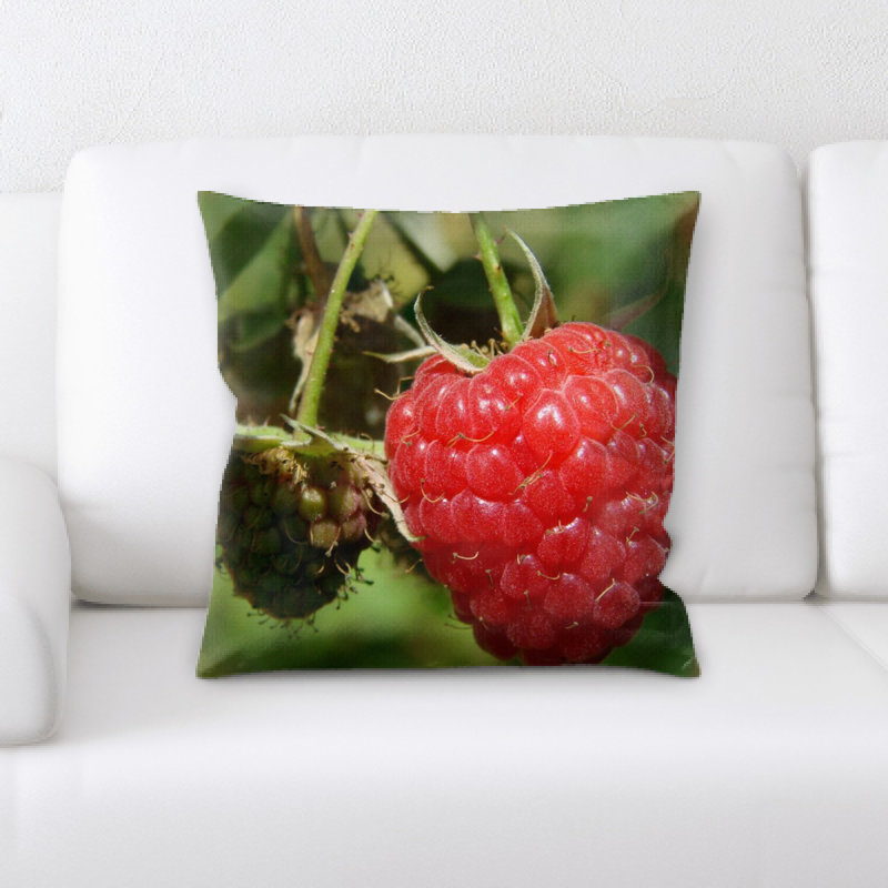 Coussin framboise
