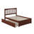 Aiston Solid Wood Platform Bed with Panel Footboard and Roll Out Trundle-1116850549