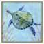 Collection Se3a Turtle Sea Turtle II par Carol Robinson-93233739-93233741