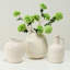 Approx 10"H Off White Ceramic Vase (5" Opening)