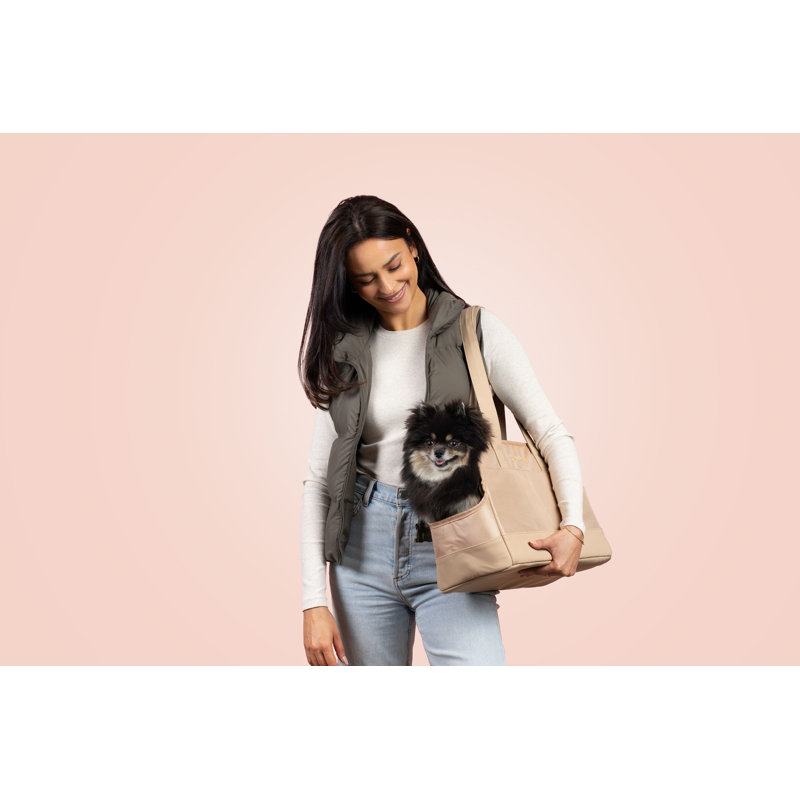 Taupe Soft-Sided Pet Carrier Tote with Faux Leather Handles