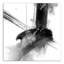 Impression d'aquarelle sur toile tendue « Black and White Abstract »