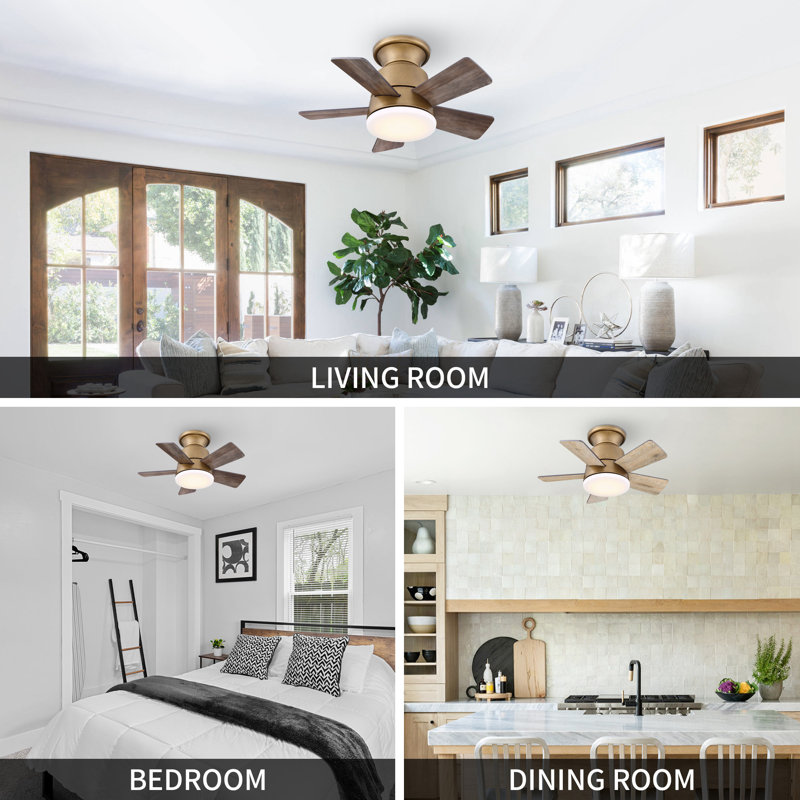 Tavontae 24'' Ceiling Fan with Dimmable 3CCT LED Lights and Remote Control, Oak/Natural