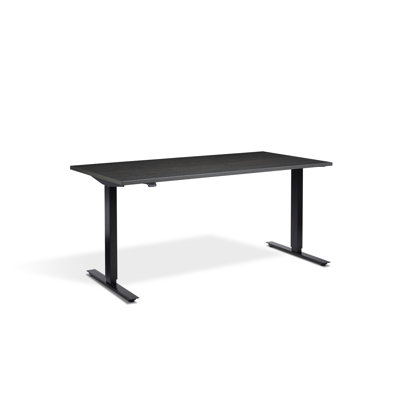 Aarifah Adjustable Height Stainless Steel Standing Desk