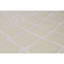 Himalayan Abstract Area Rug in Beige