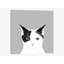Chat, impression sur toile tendue-74756737-74756738-74756739