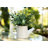 7'' Faux Plant in Ceramic Planter