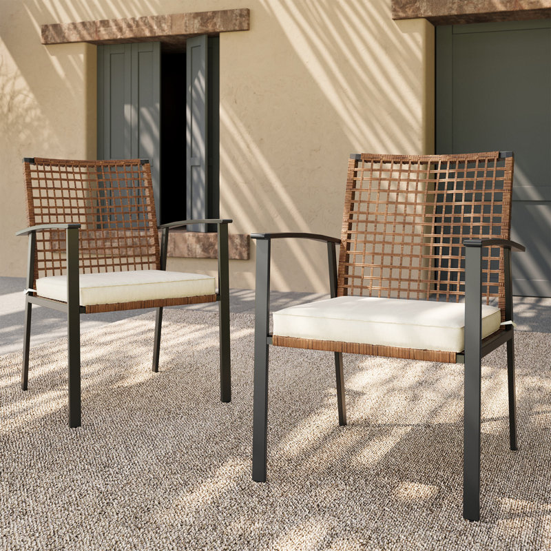 Chaise de salle à manger fixe d'extérieur 2 pièces avec coussins