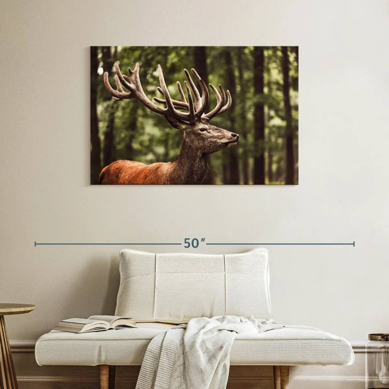 Brampt Dreamy Deer
