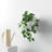 Hilaria Ceramic Wall Planter-1019888353-1019888355