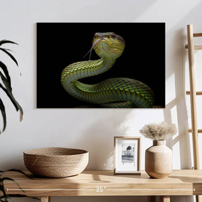 Venomous Viper