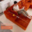 Canapé modulaire en forme de U Boneless-835999165
